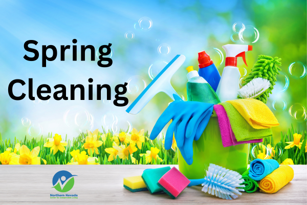 Cleaning products against a springish background with the words: spring cleaning
