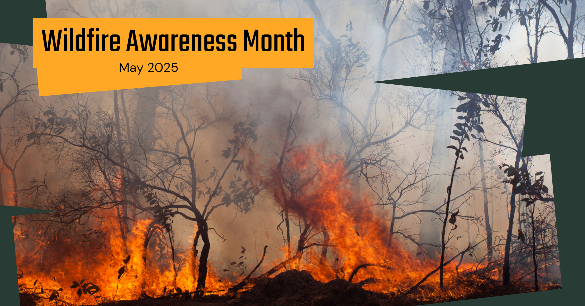 Photo of a wildfire, with the words: Wildfire Awareness Month